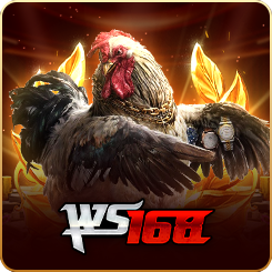 WS168