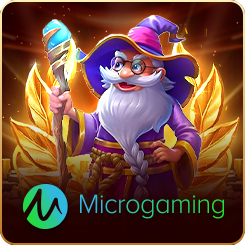 MICROGAMING